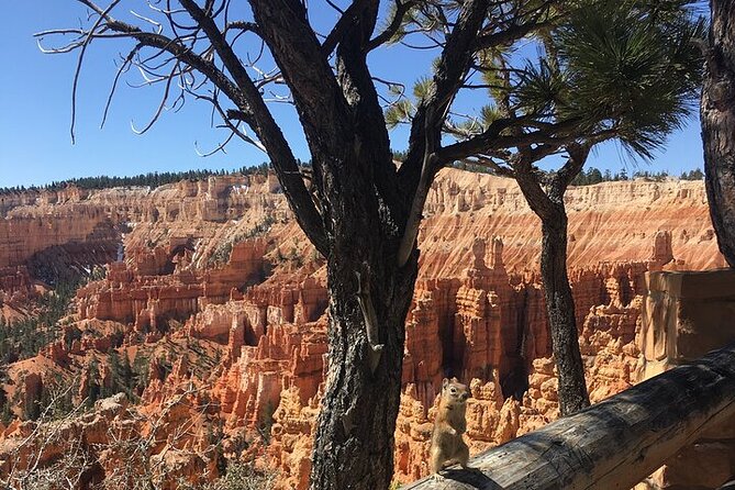 Bryce Canyon Private Tour - Key Points