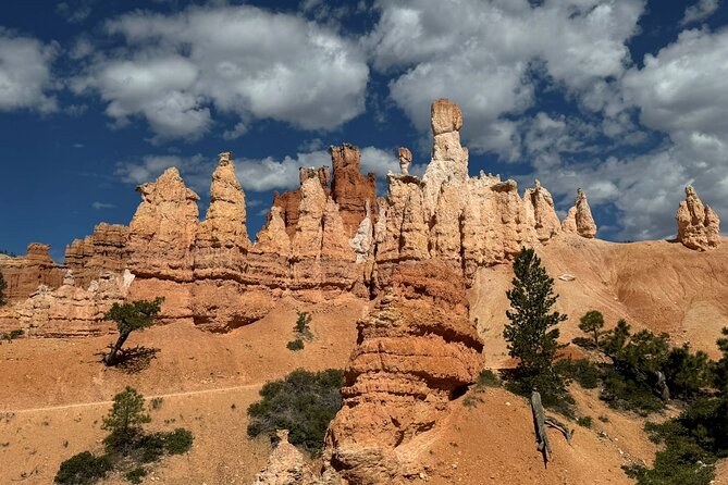 Bryce Canyon Private Tour - In-Depth Review of the Bryce Canyon Private Tour