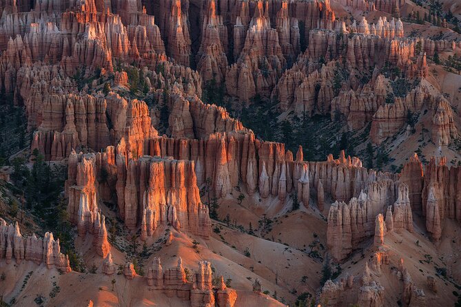 Bryce Canyon Photography Tours - Overview of the Bryce Canyon Photography Tours
