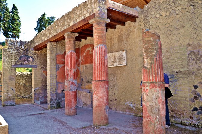 Pompeii and Herculaneum led by an Archaeologist with private transport - Who Will Love This Tour?