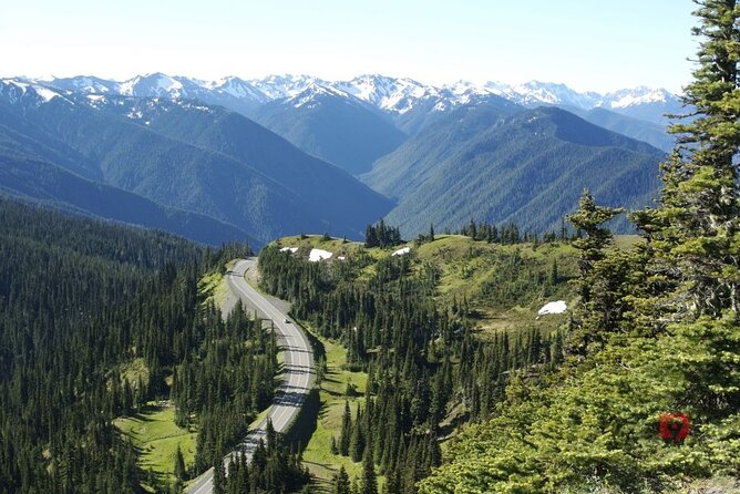 Self-Guided Audio Driving Tour in Olympic National Park - Who Should Consider This Tour?