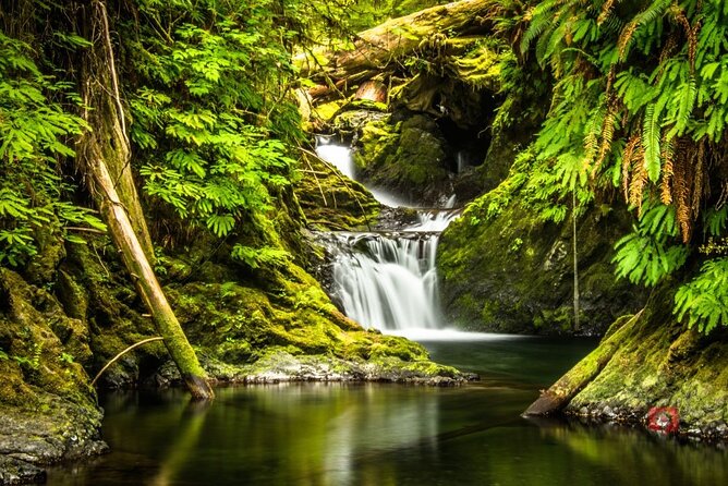 Self-Guided Audio Driving Tour in Olympic National Park - Frequently Asked Questions