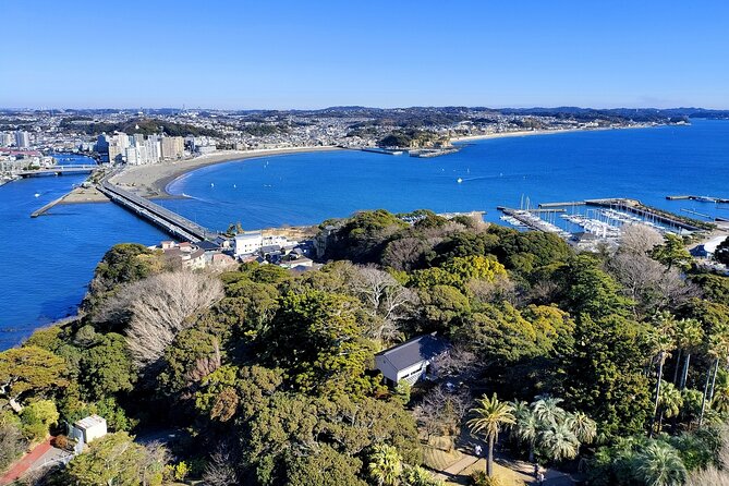 Private Enoshima and Kamakura Custom Walking Tour - Kamakura’s Temples and Historic Charm