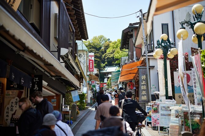 Private Enoshima and Kamakura Custom Walking Tour - The Sum Up: Who Will Love This Tour?