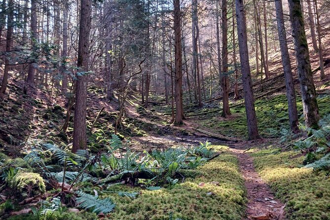 Matsumoto Mt.Hachibuse - FAQ