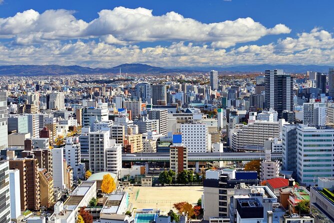 Narita Airport to Nagoya City Japan Private Transfer - Who Should Consider This Service?