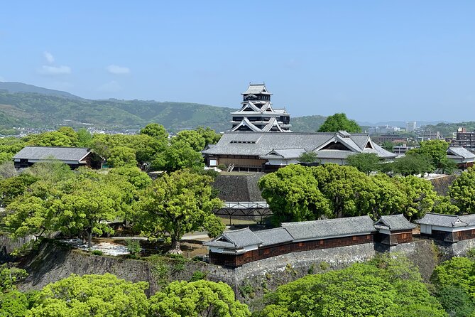 Kumamoto Castle Walking Tour with Local Guide - Practical Details and Considerations
