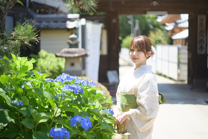 Kimono Rental and Tea Ceremony Experience in Inuyama - The Sum Up: Who Will Love This Tour?