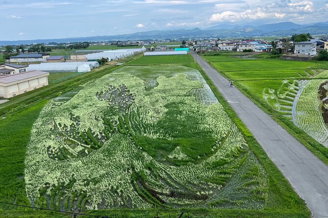 Rice Paddy Art Half day tour in Aomori - Key Points