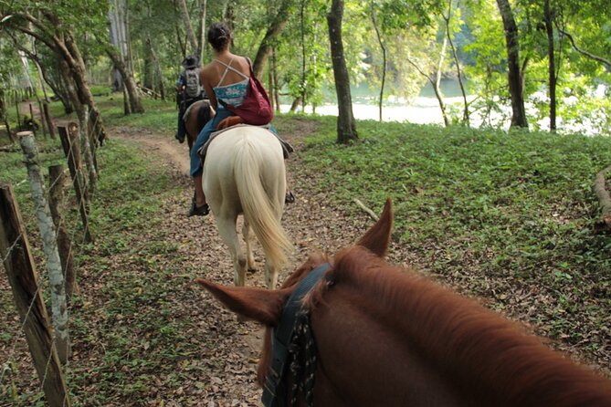 Horseback Ride to Xunantunich Maya Ruins - Who Will Enjoy This Tour?