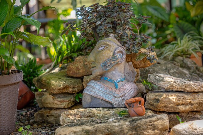 Authentic Mayan Cuisine Cultural Tour - The Sum Up