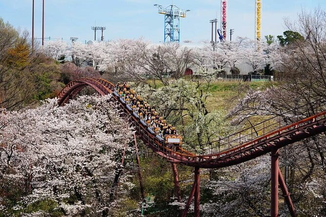 Yomiuriland One Day Pass Ticket in Tokyo - Final Thoughts