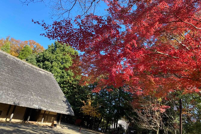 Kawasaki Nihon Minkaen Adventure Tour - Good To Know