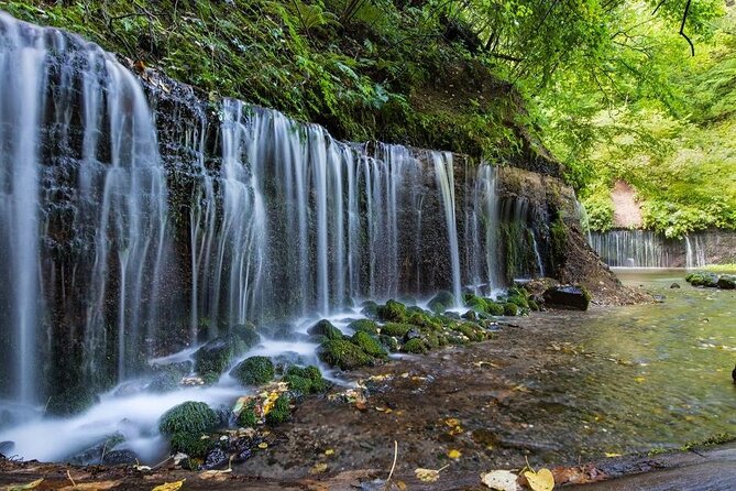 Karuizawa Full-Day Private Trip with Government-Licensed Guide - Exploring Karuizawa with a Private Guide