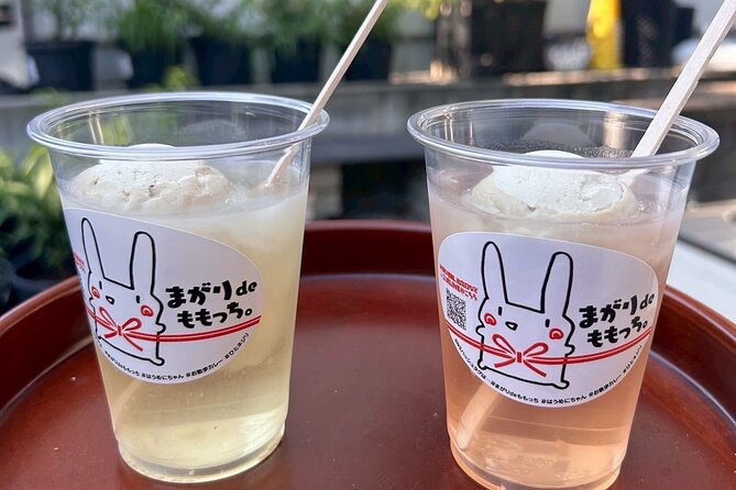 Peach Farm Walk & Farming Experience with a Peach Drink - Who Should Consider This Tour?