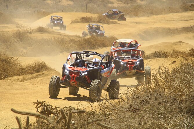 Desert and Beach Off Road Tour in Cabo San Lucas - Why This Tour Offers Good Value