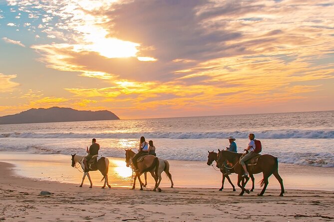 Cabo Shore Excursion: Beach Horseback Ride & Tequila Tasting - Final Thoughts