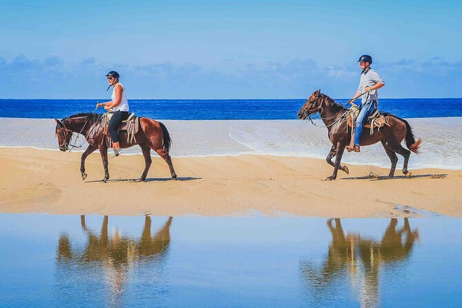Cabo Shore Excursion: Beach Horseback Ride & Tequila Tasting - Who Is This Tour Best For?