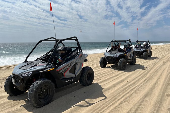 New!!! Kids Off Road Experience Automatic Mini RZR Beach & Desert - Why This Tour Is Worth Considering
