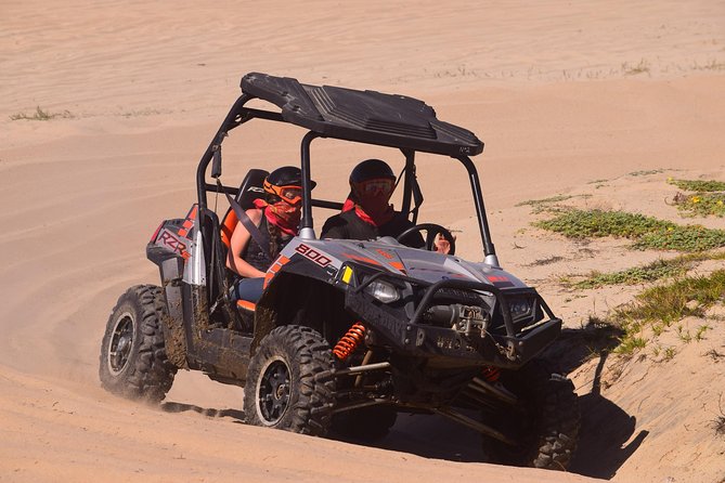 Cabo Migrino Beach & Desert Tour (Single UTV) - A Deep Dive Into the Baja Off-Road Experience