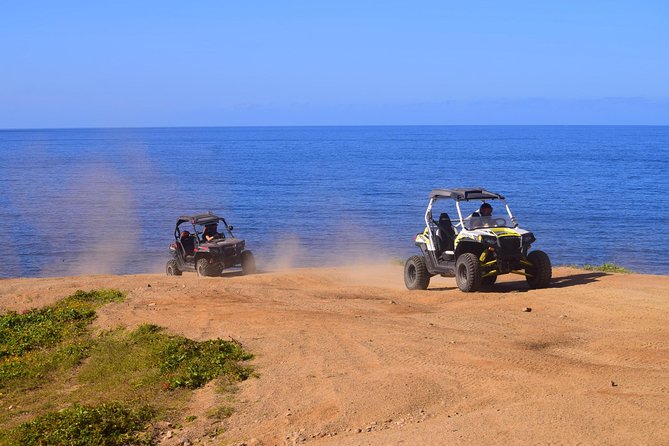 Cabo Migrino Beach & Desert Tour (Single UTV) - Final Thoughts: Is It Worth It?