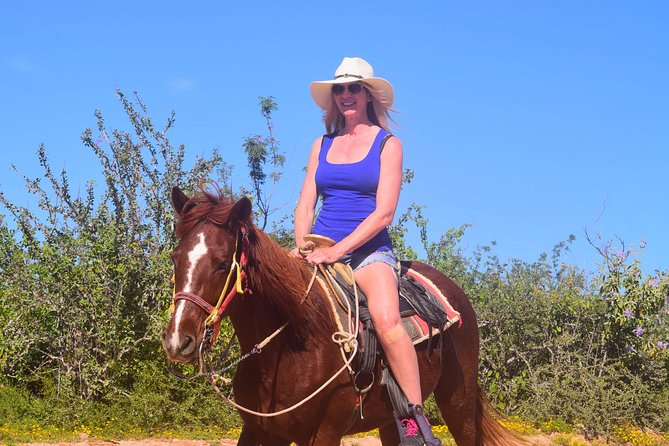 Cabo Desert Off-Road & Beach Horseback Combo and Tequila Tasting - Who Should Consider This Tour?