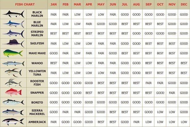 Catch the big one in Cabo! All inclusive fishing! - Who Will Love This Tour?