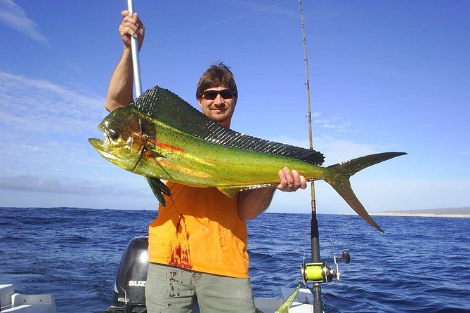 Catch the big one in Cabo! All inclusive fishing! - Good To Know
