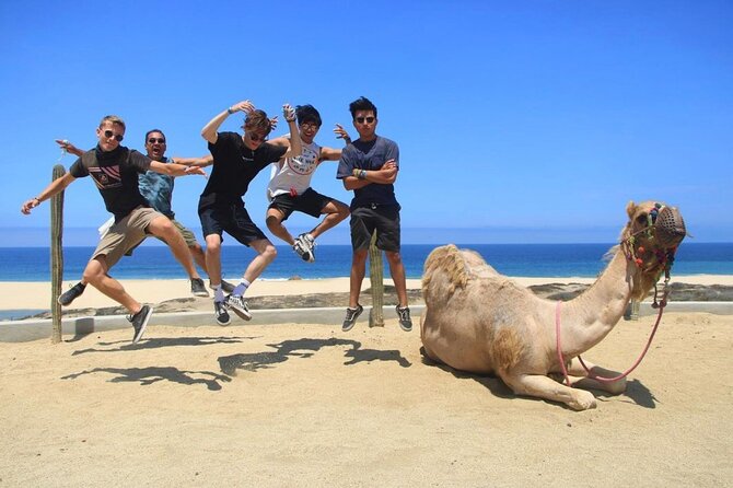 Camel Encounter and Safari Ride. Includes lunch & alcohol tasting - The Authentic Experience: What Sets This Tour Apart?