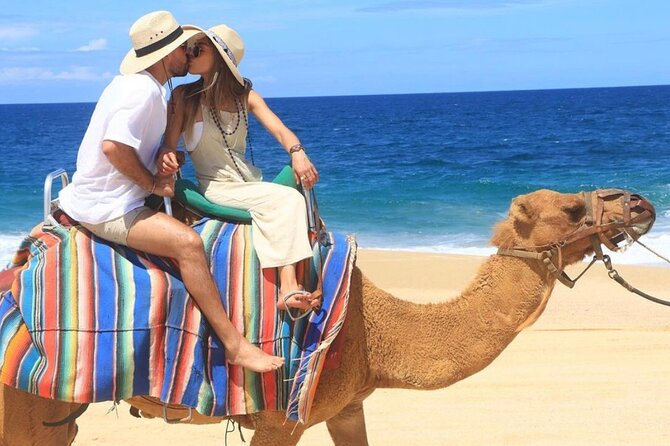 Camel Encounter and Safari Ride. Includes lunch & alcohol tasting - The Sum Up