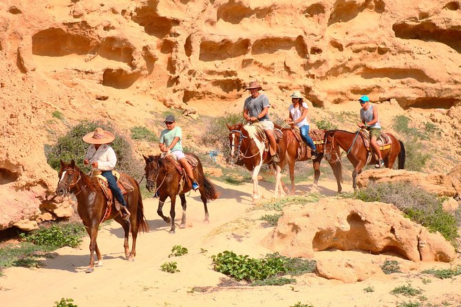 Cabo Desert ATV & Beach Horseback Combo enjoy adventure and beauty! - Who Should Book This Tour?