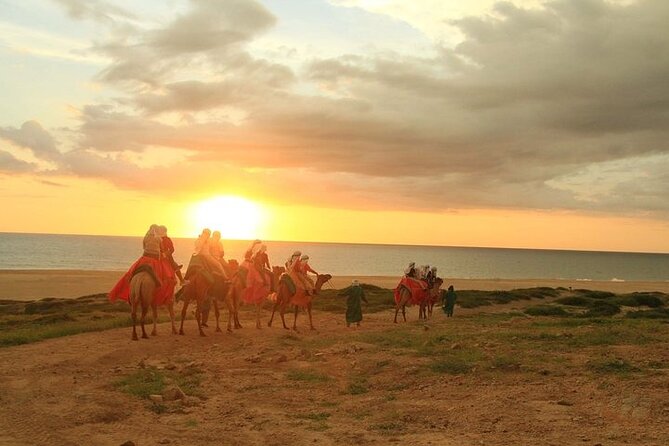 ATV and Camel Ride Combo Adventure in Los Cabos - Is This Tour Right for You?