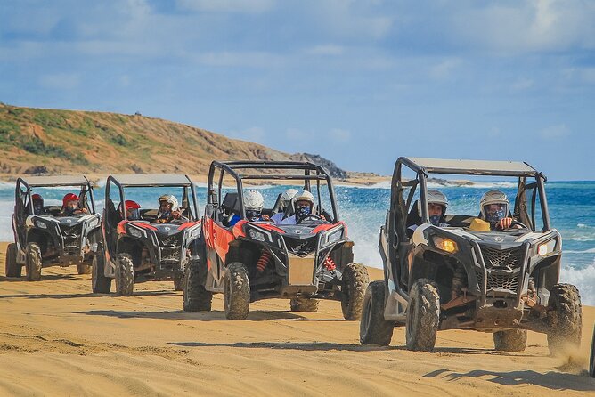 ATV and Camel Ride Combo Adventure in Los Cabos - References