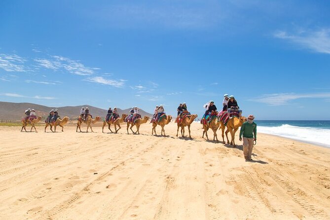 Camel Ride & ATV Combo in Migriño, Mexico - FAQs