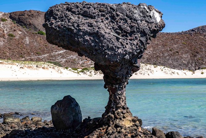 La Paz City Tour from Cabo - Exploring the Itinerary in Detail