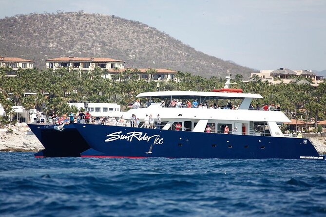 Cabo San Lucas Whale Watching Lunch Cruise - Who Will Love This Tour?