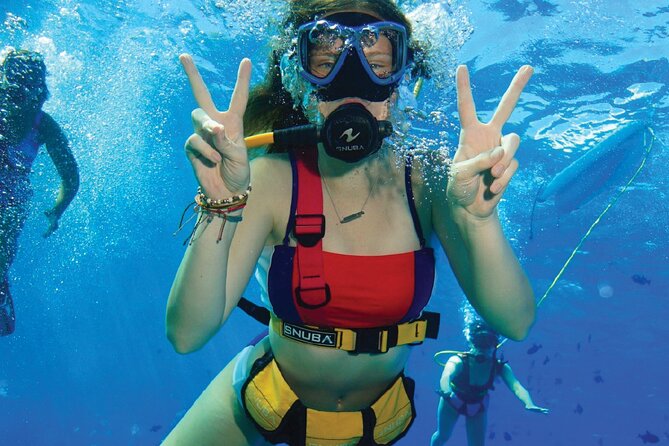 Snuba Cabo San Lucas Dive Without a Tank - Value for the Price