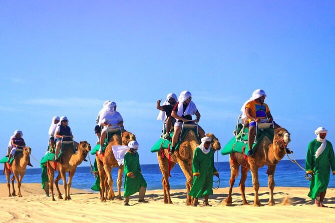 Cabo Camel and Safari Ride - An In-Depth Look at the Cabo Camel and Safari Ride