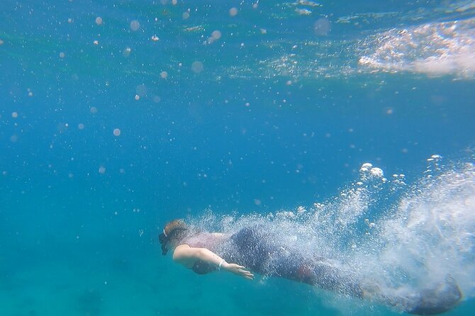 Snorkel Privately in Cabo San Lucas - Exploring the Cabo San Lucas Snorkeling Tour in Detail
