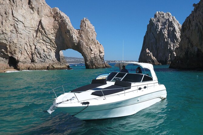 Private Whale Watching on Luxury Yacht in Cabo San Lucas - Practical Tips for Booking and Enjoying the Tour