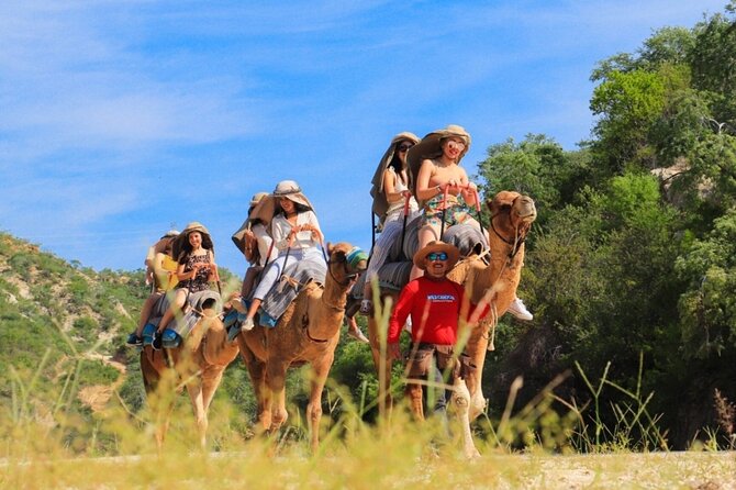 Guided Canyon Camel Ride in Wild Canyon Adventure Park - The Itinerary Breakdown: What to Expect