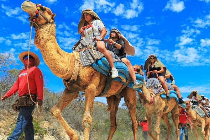 Guided Canyon Camel Ride in Wild Canyon Adventure Park - Exploring Wild Canyon Adventure Park: A New Take on Cabo Activities