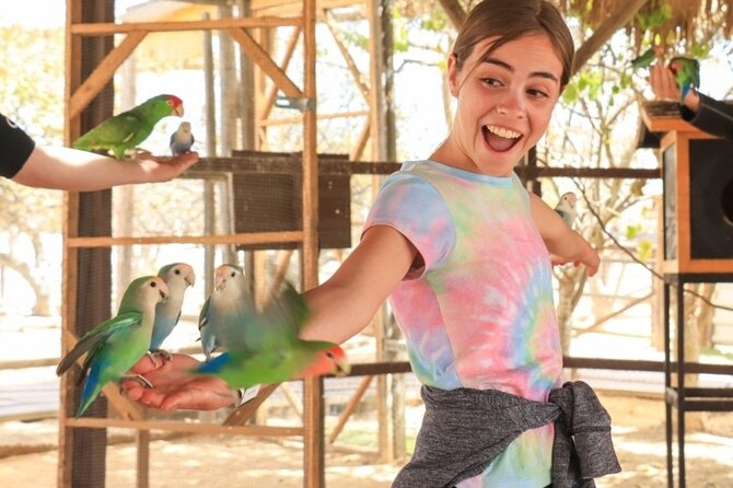 Guided Canyon Camel Ride in Wild Canyon Adventure Park - Who Is This Tour Best For?