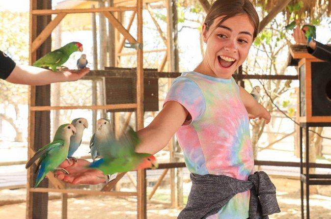 Guided Canyon Camel Ride in Wild Canyon Adventure Park - Is It Worth the Cost?