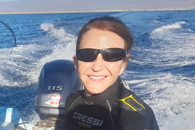 Ocean safari, snorkel with pelagic animals - What to Expect on the Ocean Safari