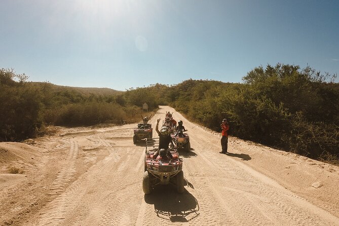 Cabo Lifestyle Photoshoot - Authentic Insights from Reviews