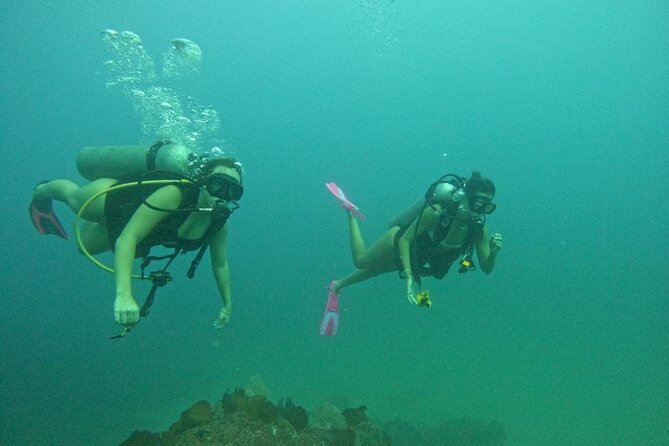 Non-Certified Diving Adventure in Cabo San Lucas - Who Should Consider This Tour?