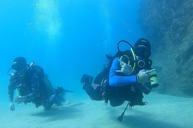 Non-Certified Diving Adventure in Cabo San Lucas - Good To Know