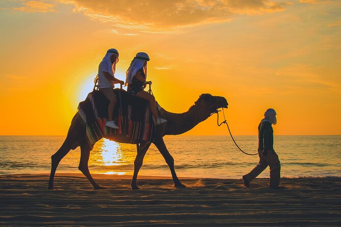 Camel Ride Experience in Los Cabos with Pick up and Lunch - Final Thoughts: Is it Worth It?