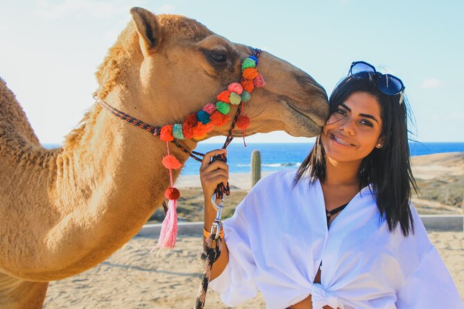 Camel Ride Experience in Los Cabos with Pick up and Lunch - Good To Know